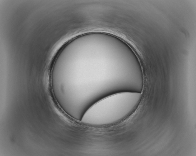 X0000113021511200908271022