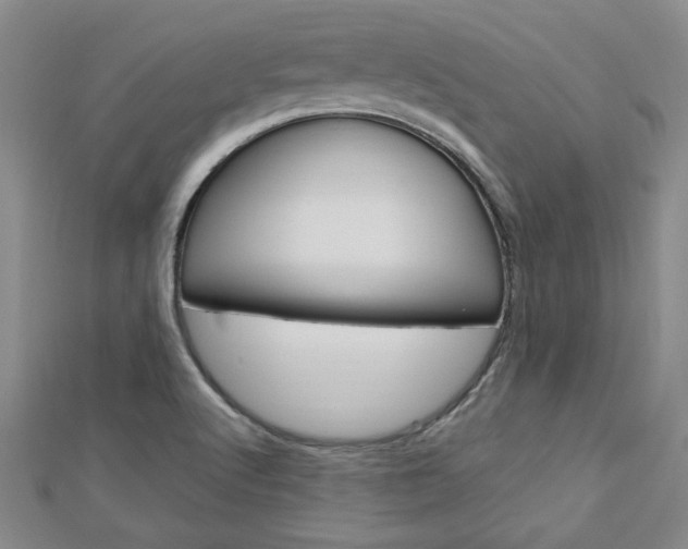 X0000113021512200908271022