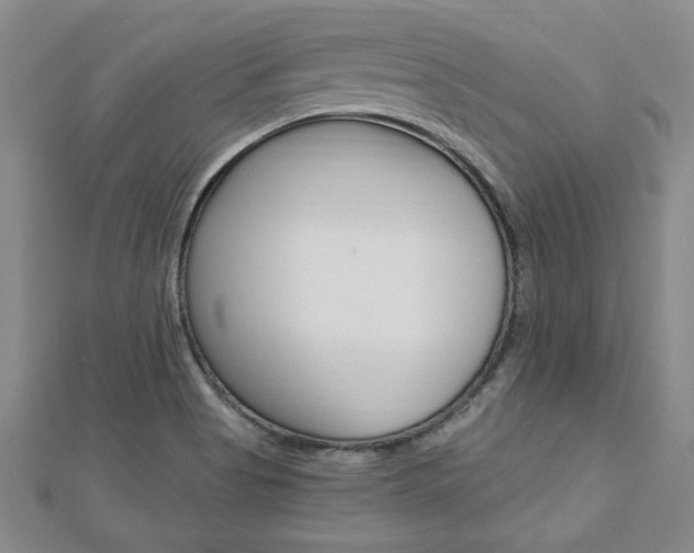 X0000113021513200908271022