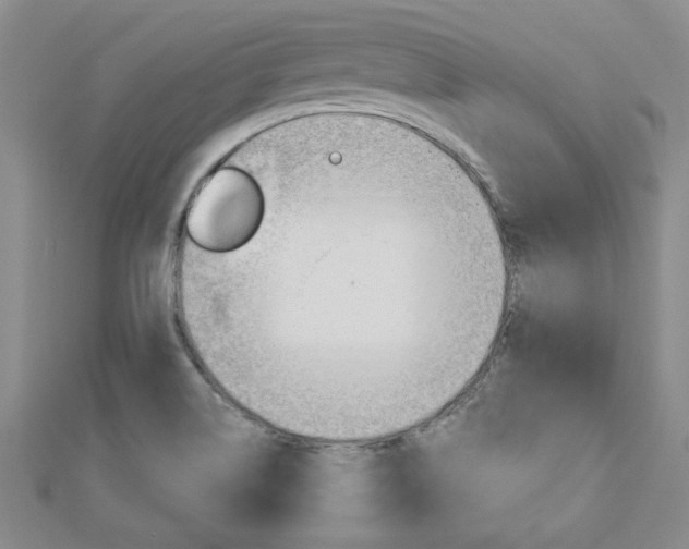 X0000113021514200908271022
