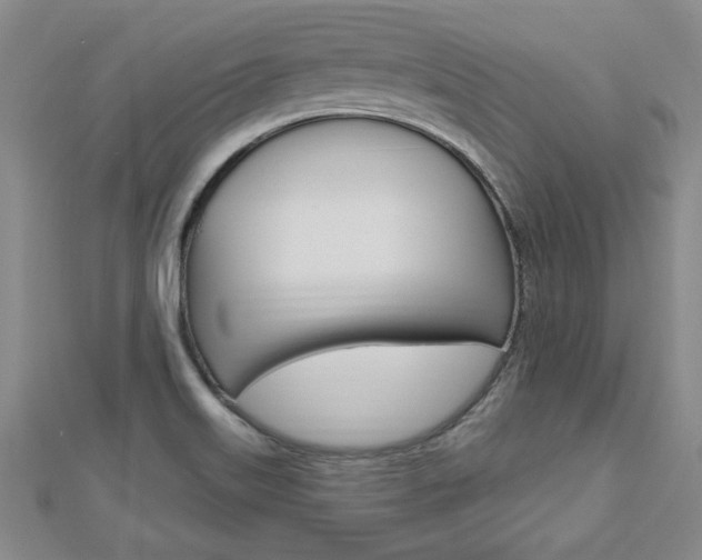 X0000113021515200908271022