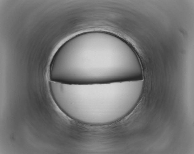 X0000113021516200908271022