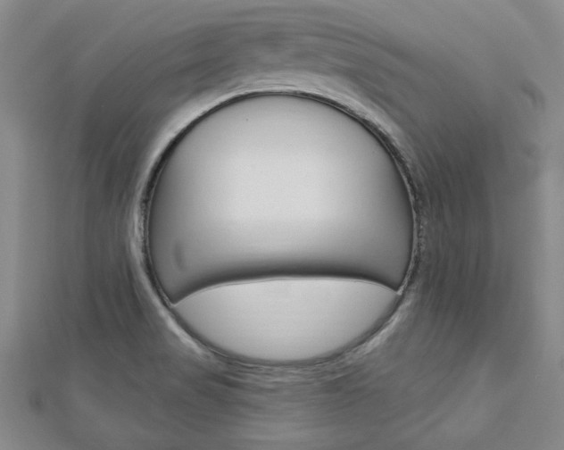 X0000113021517200908271022
