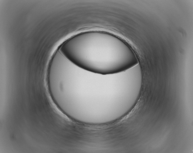 X0000113021518200908271022