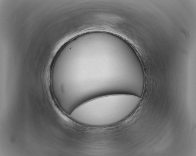 X0000113021519200908271023