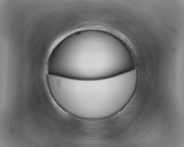 X0000113021520200908271023