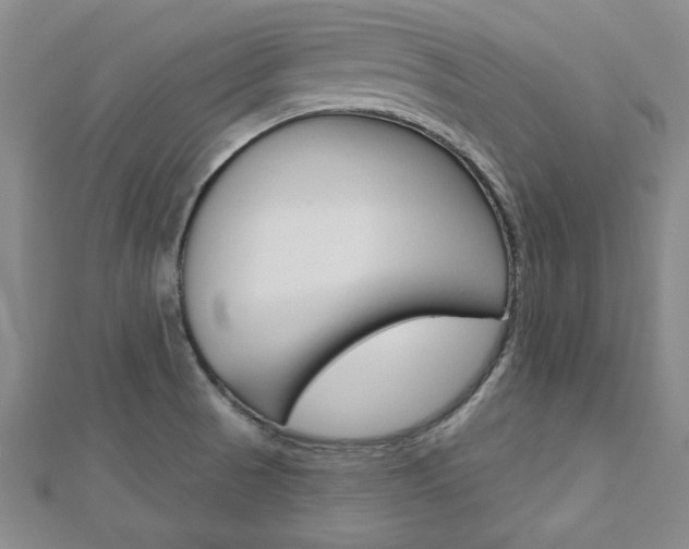 X0000113021521200908271023