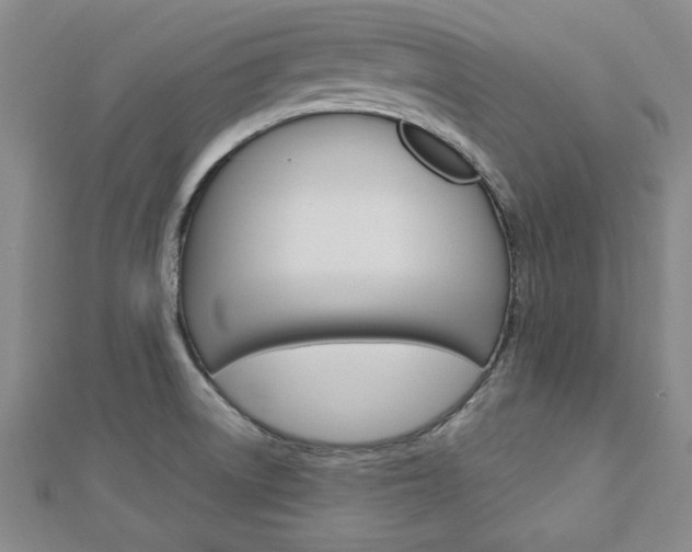 X0000113021522200908271023
