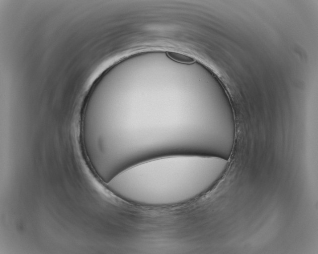 X0000113021523200908271023
