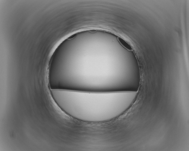 X0000113021524200908271023