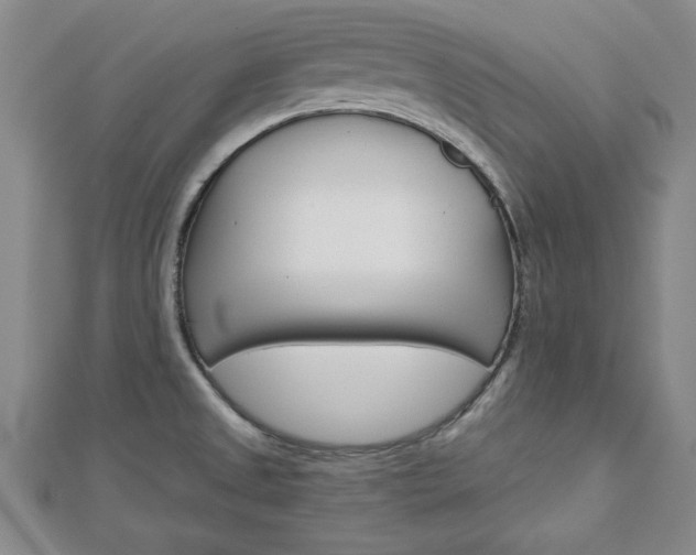 X0000113021525200908271023