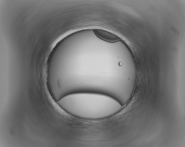 X0000113021526200908271023