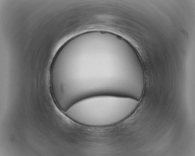 X0000113021527200908271023