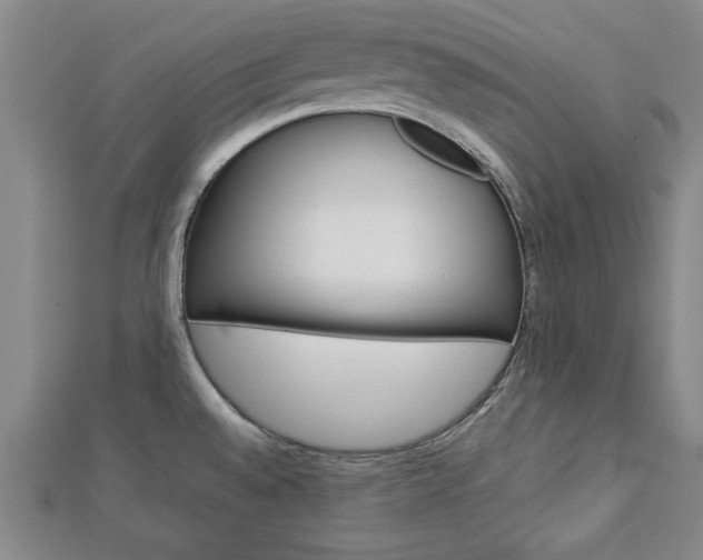 X0000113021528200908271023