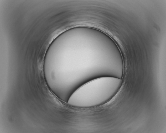 X0000113021529200908271023