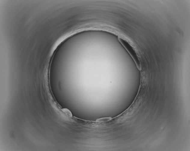 X0000113021530200908271023