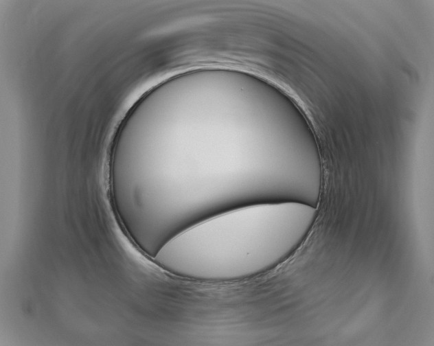 X0000113021531200908271023