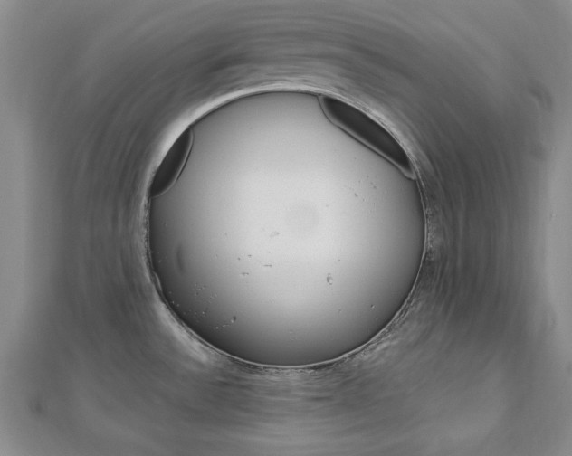 X0000113021532200908271023