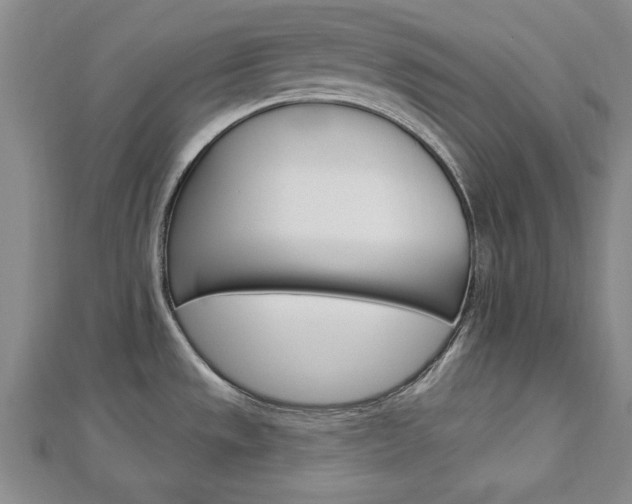 X0000113021533200908271023