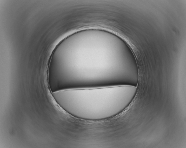 X0000113021534200908271023