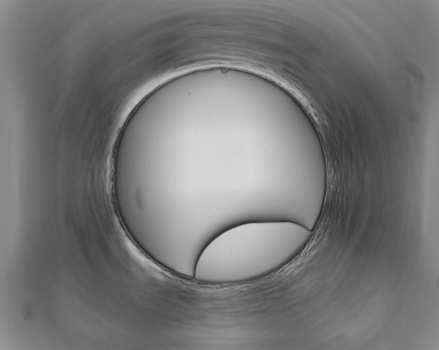 X0000113021535200908271023