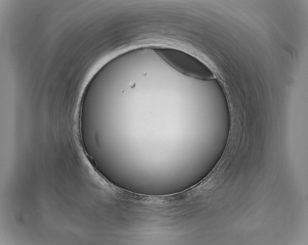 X0000113021536200908271023