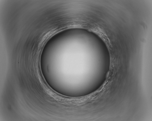 X0000113020001200908271443