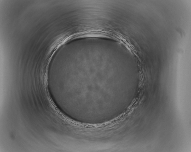 X0000113020002200908271443