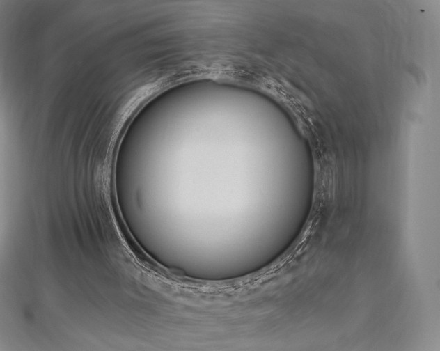 X0000113020003200908271443