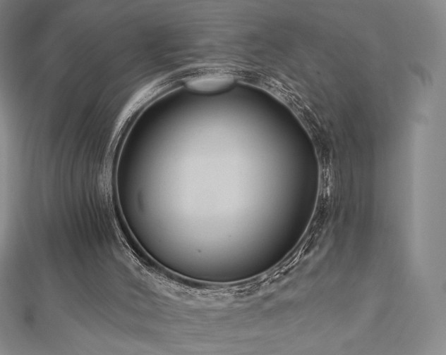 X0000113020004200908271443