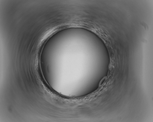 X0000113020005200908271443