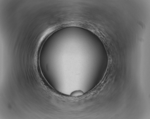 X0000113020006200908271443