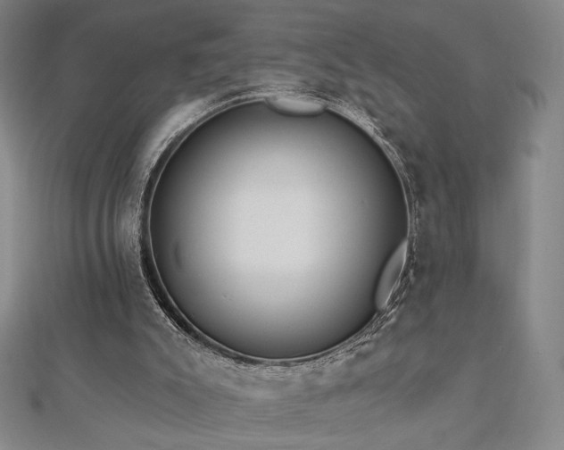 X0000113020007200908271443