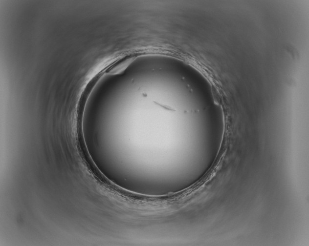 X0000113020008200908271443