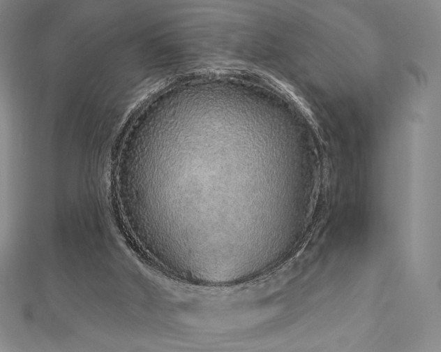 X0000113020010200908271443