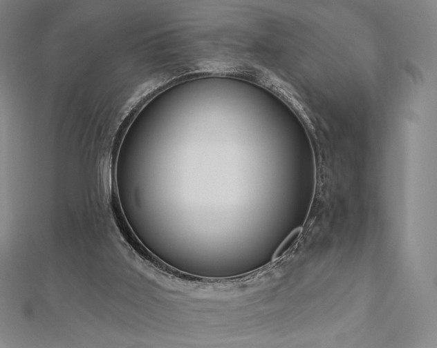 X0000113020011200908271443