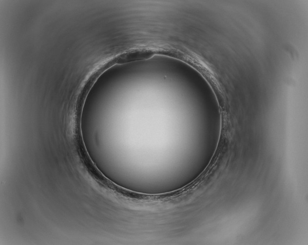 X0000113020012200908271443
