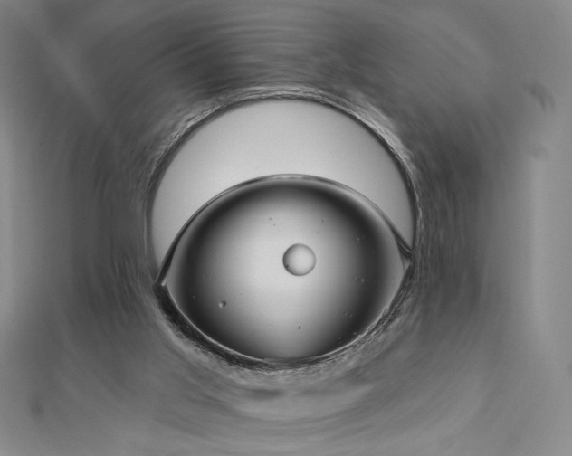 X0000113020013200908271443