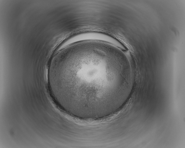 X0000113020014200908271443