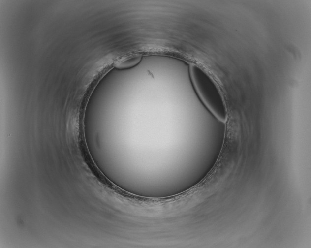 X0000113020015200908271443