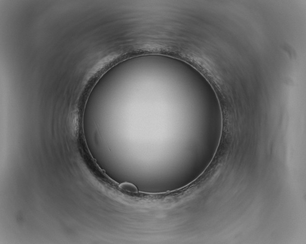 X0000113020016200908271443