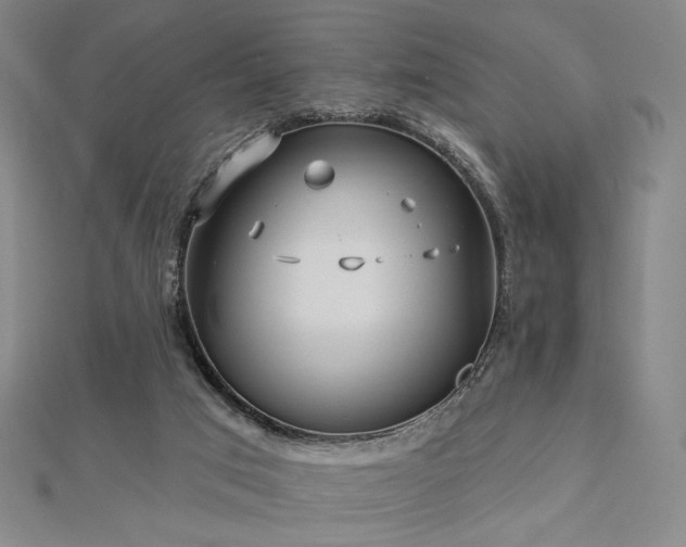 X0000113020017200908271443