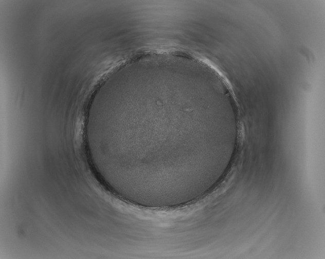 X0000113020018200908271443