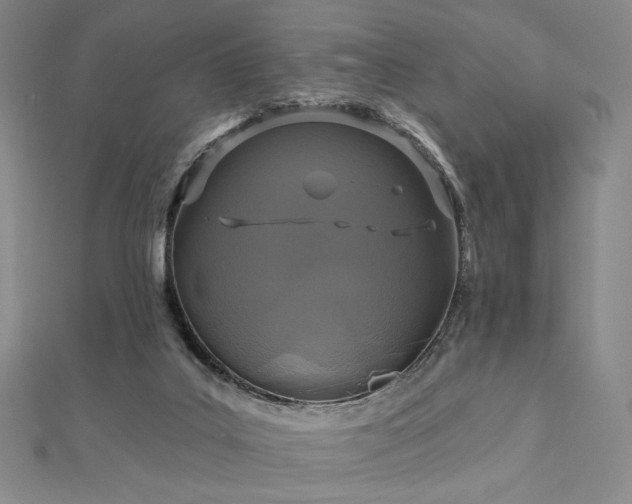 X0000113020019200908271443