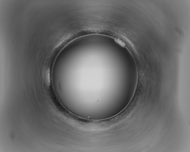 X0000113020020200908271443
