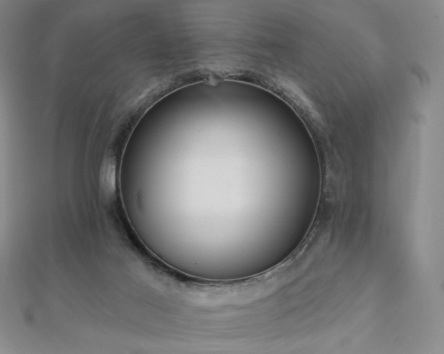 X0000113020021200908271443