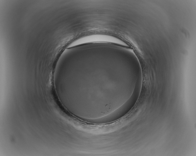 X0000113020023200908271443