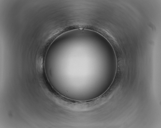 X0000113020024200908271443