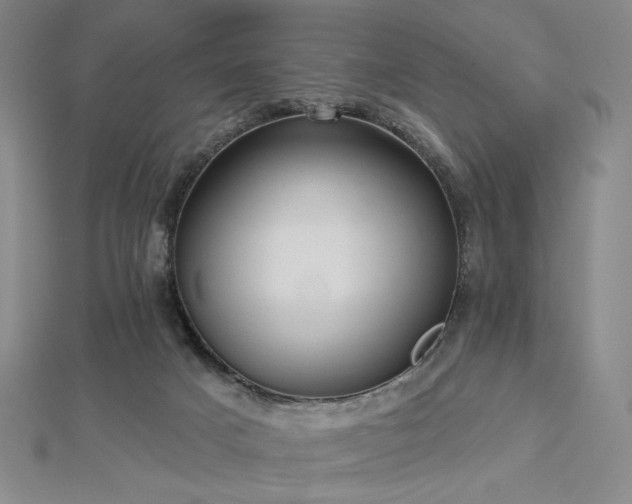 X0000113020025200908271443