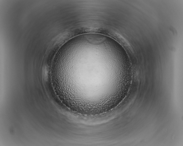 X0000113020026200908271443
